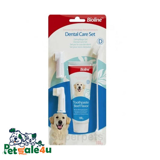 مجموعة العناية بالأسنان-نكهة اللحم البقري 100 جرام-مجموعة